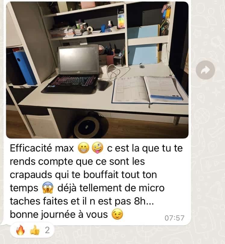 Screenshot Développez votre expertise en gestion du temps et organisation avis 3